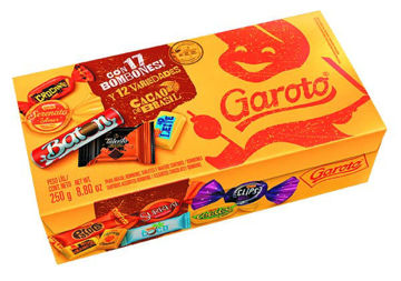 Imagen de Bombones Garoto Surtidos 250 gr