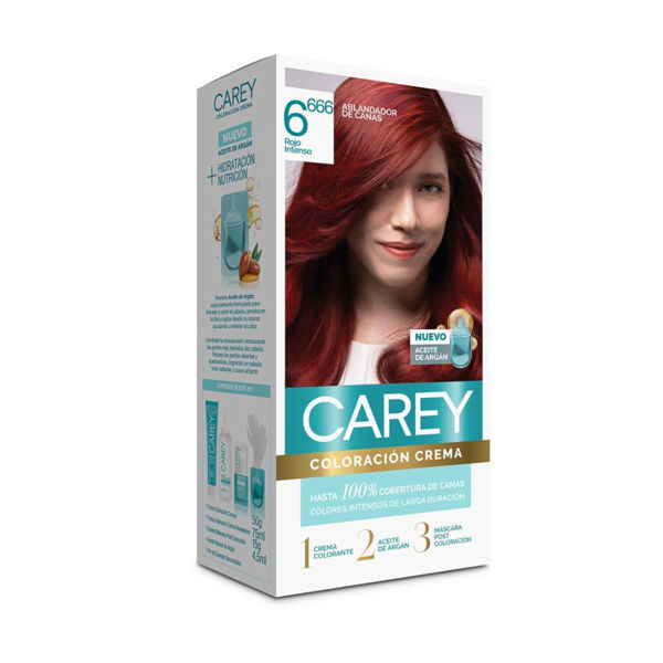 Imagen de Tinta Carey 666 S/c