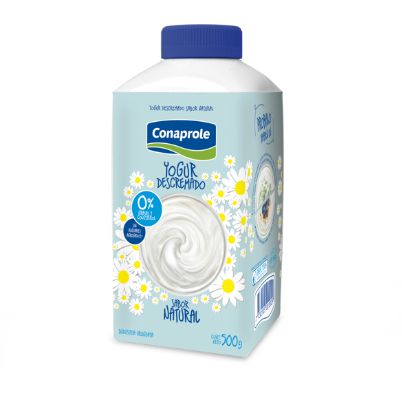 Imagen de Yogur Descr.nat.500g Tetra