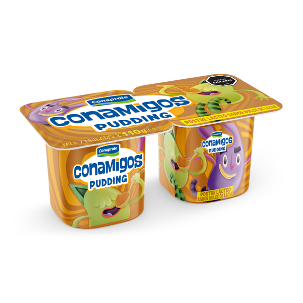 Imagen de Pudding Conamig.d/lech X2