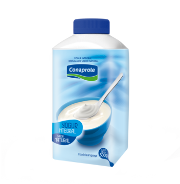 Imagen de Yogur Natural Integ Tetra500ml