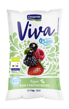 Imagen de Viva 1 lt 0% Acai y Fr. Rojos