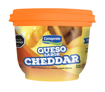 Imagen de Queso de Untar Sabor Cheddar 230gr