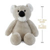 Imagen de Peluche Teddy Bear