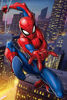 Imagen de Puzzle 3d Box Lata Spiderman 300p