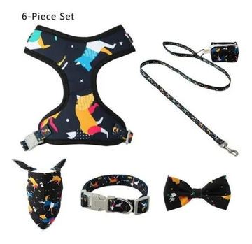 Imagen de Arnes con Accesorios m Dn-019