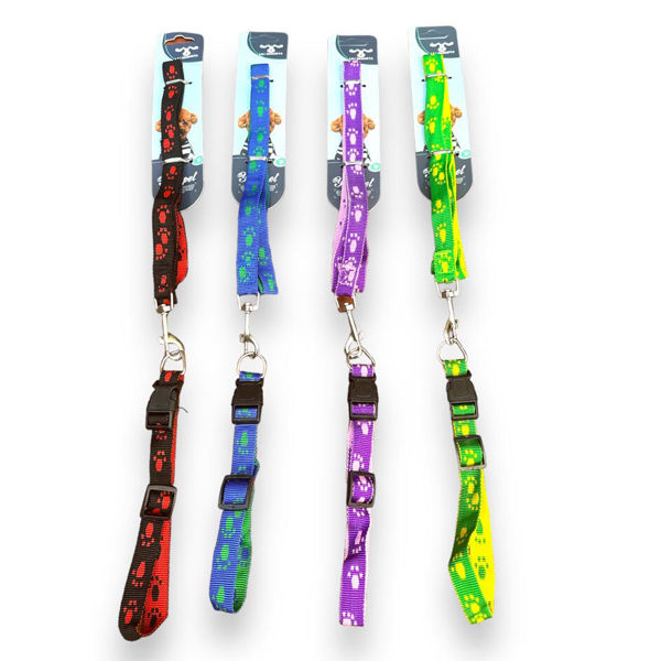 Imagen de Collar + Correa con Huellas Mediano Aj-410