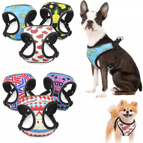 Imagen de Arnes Fresh Xs Md-0026