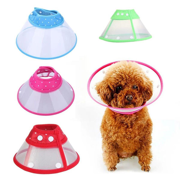 Imagen de Collar Isabelino Boton s Abt-1129