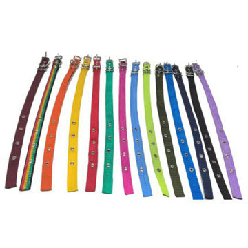 Imagen de Collar Reforzado Grande C/dest. Rp Ce-155