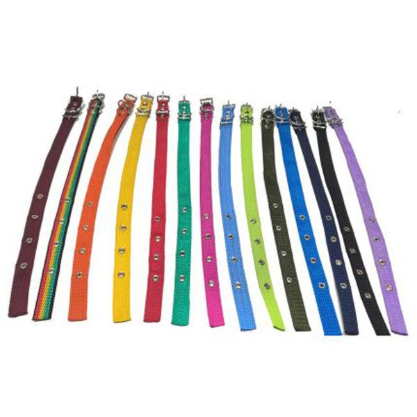 Imagen de Collar Reforzado Grande C/dest. Rp Ce-155