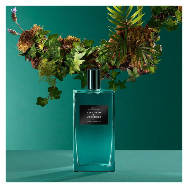 Imagen de N4 Evasión Exótica Edt 150ml