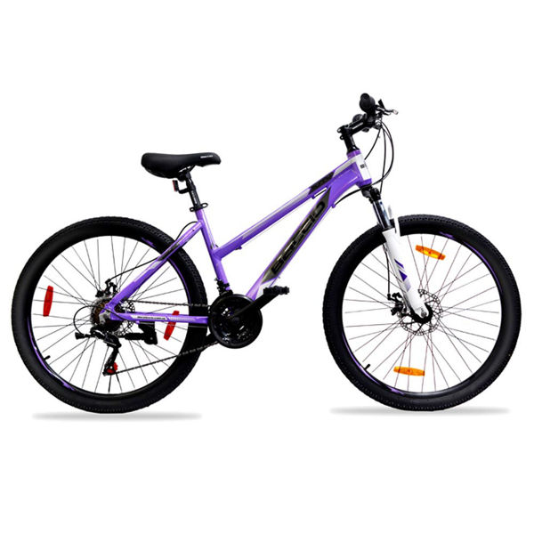 Imagen de Sunny Lady 27.5  Viol