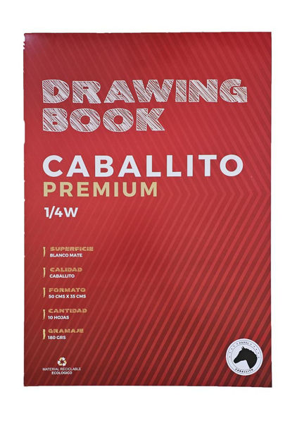 Imagen de Block 1/4 w Caballito 10 h