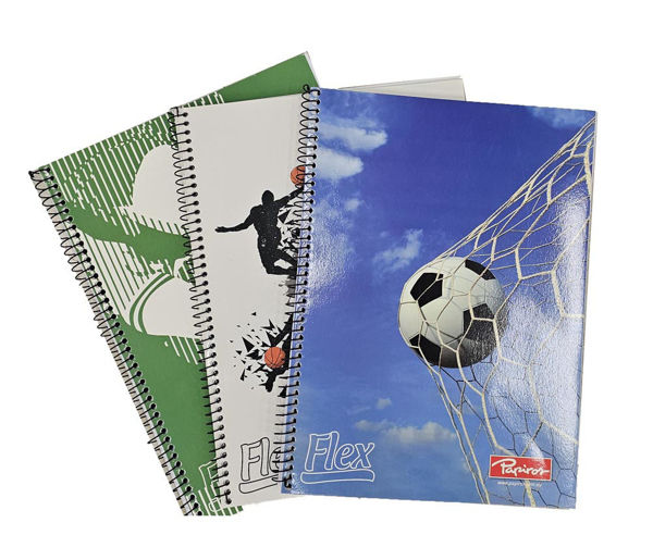 Imagen de Cuadernola Papiros 100h Flex