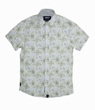 Imagen de Camisa m/c Lino Arona Mistral